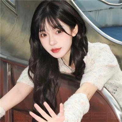 小狗吉米走私事件